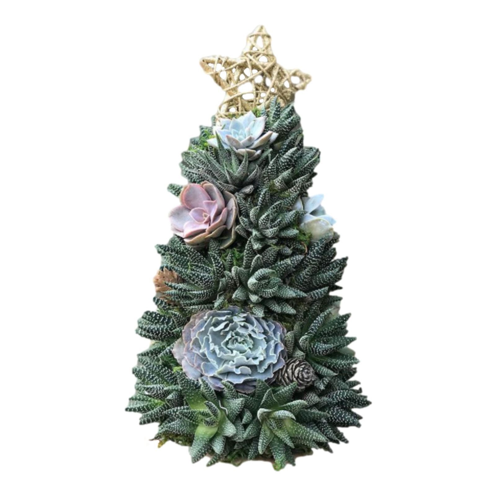 🔥Clearance Sale - 49% OFF 🎄2023 Succulent Christmas Tree