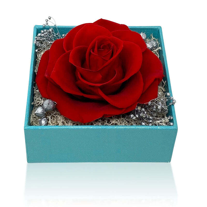 Forever red rose gift box i love you in 100 languages necklace