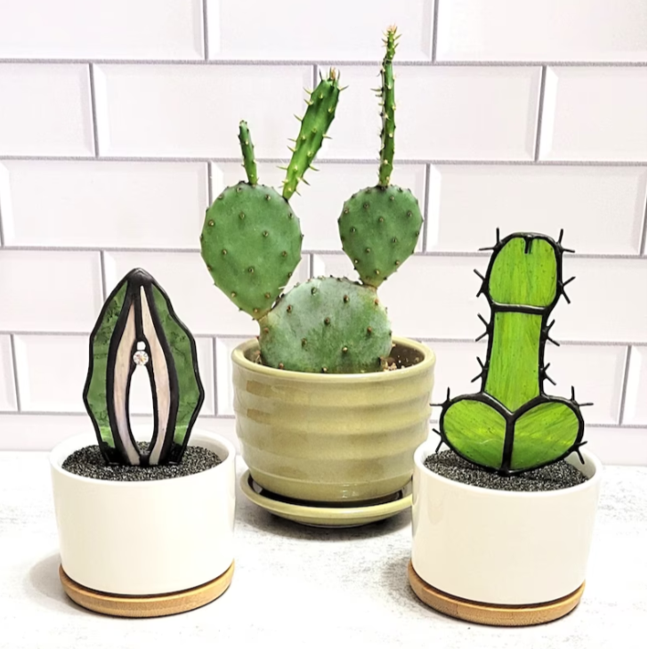 ORIGINAL Stained Potted Male Cactus(Cocktus)