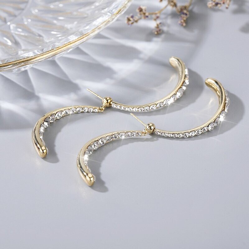 Fashion Curved Earrings