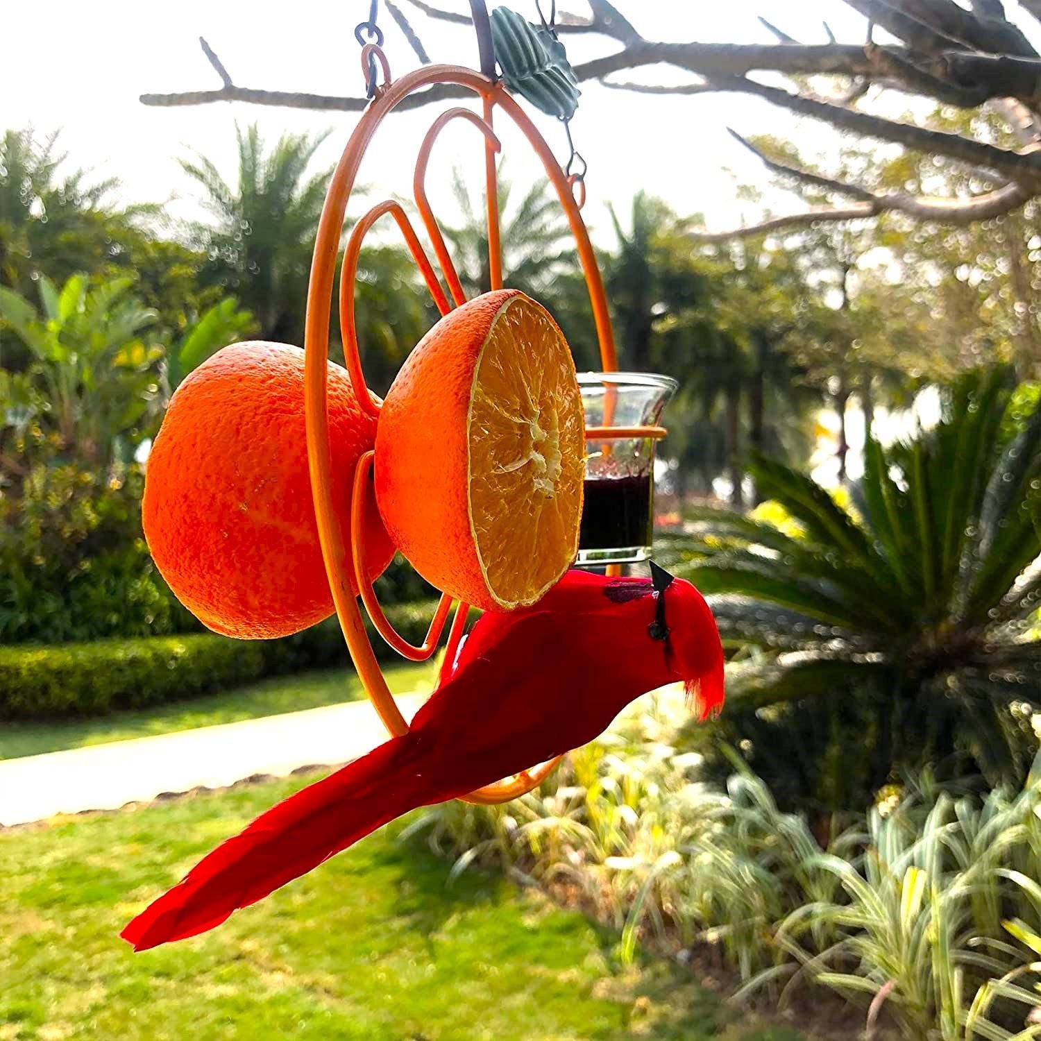 🔥Last Day Promotion - 45% OFF🔥Oriole Bird Feeder Orange