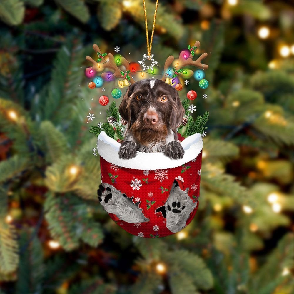 German Wirehaired Pointer In Snow Pocket Ornament