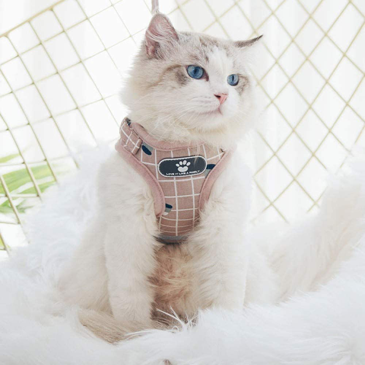 2020 New Adjustable Cute Cat Harness Leash
