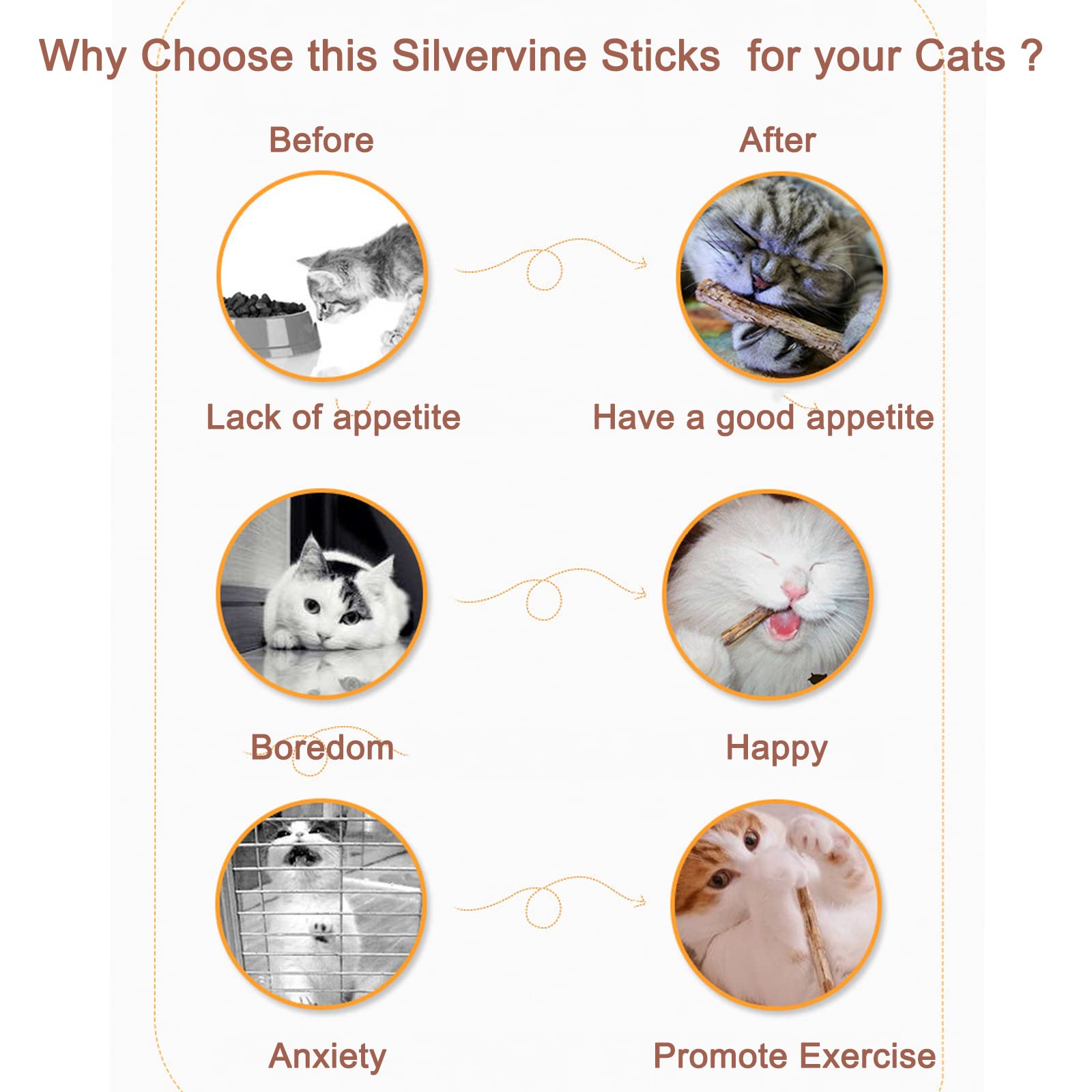 🎅EARLY CHRISTMAS SALE - 48% OFF🎄-😺Natural Silvervine Stick Cat Chew Toy-BUY 5 GET 5 FREE & FREE SHIPPING