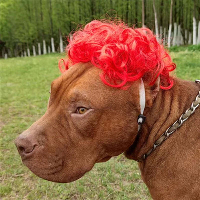 Pet wig headgear for dogs and cats