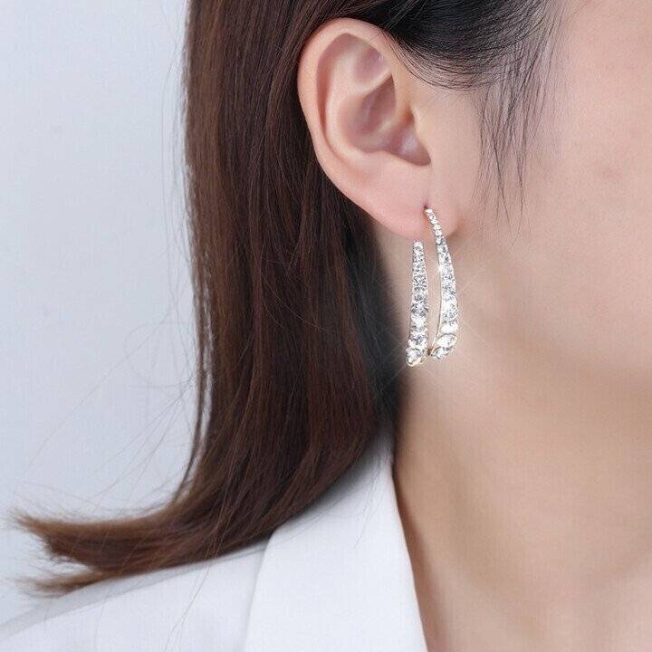 Fashion Curved Earrings