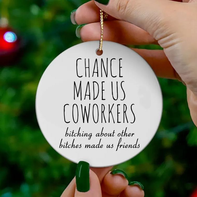 🎁💝2023 CHRISTMAS GIFT - Funny Friendship Ornament😂