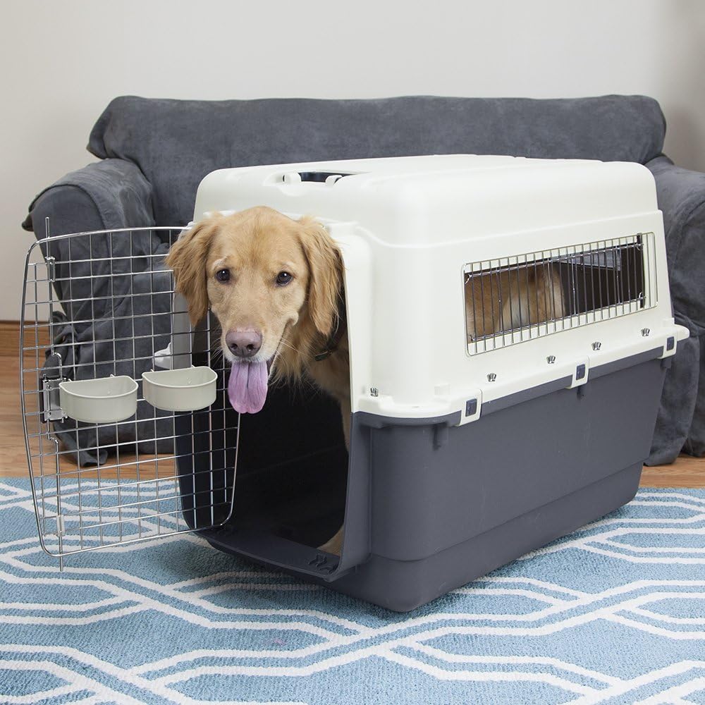 Sport Pet Designs Plastic Kennels Rolling Plastic Airline Approved Wire Door Travel Dog Crate