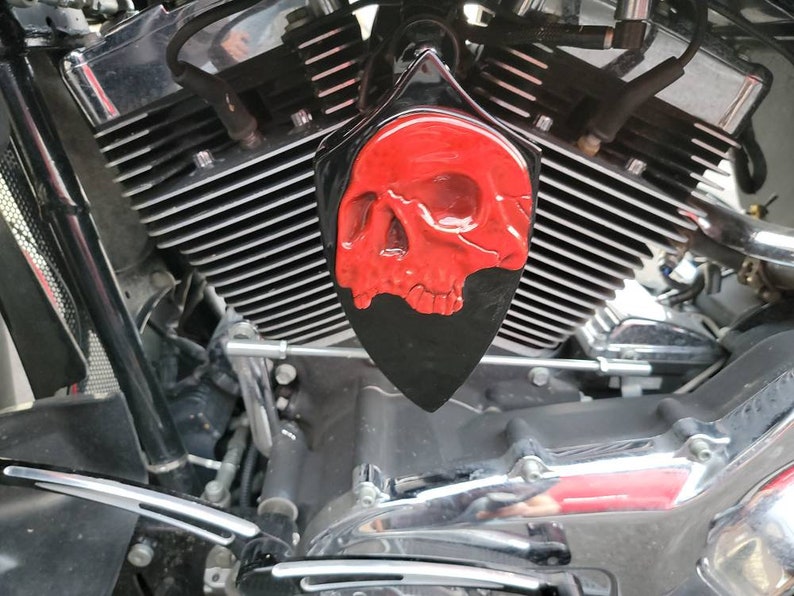 Custom side-mounted horn cover with 3D Twisted skull