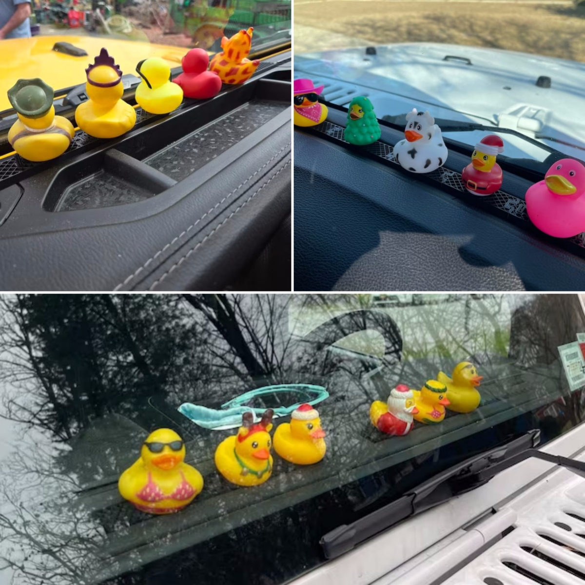 Best Jeep Duck Holder Ever | Expand your decor - Datuls