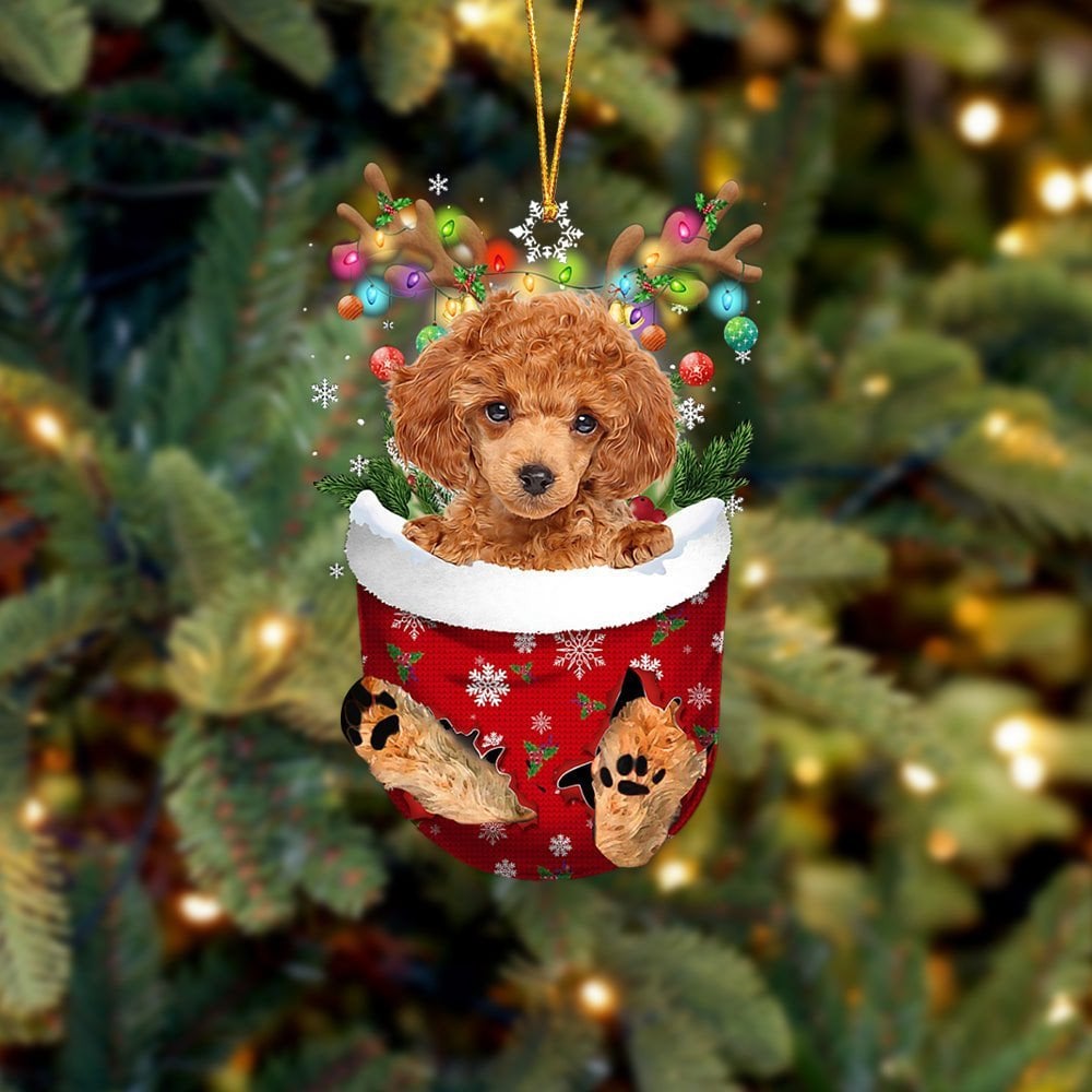 RED Toy Poodle In Snow Pocket Ornament