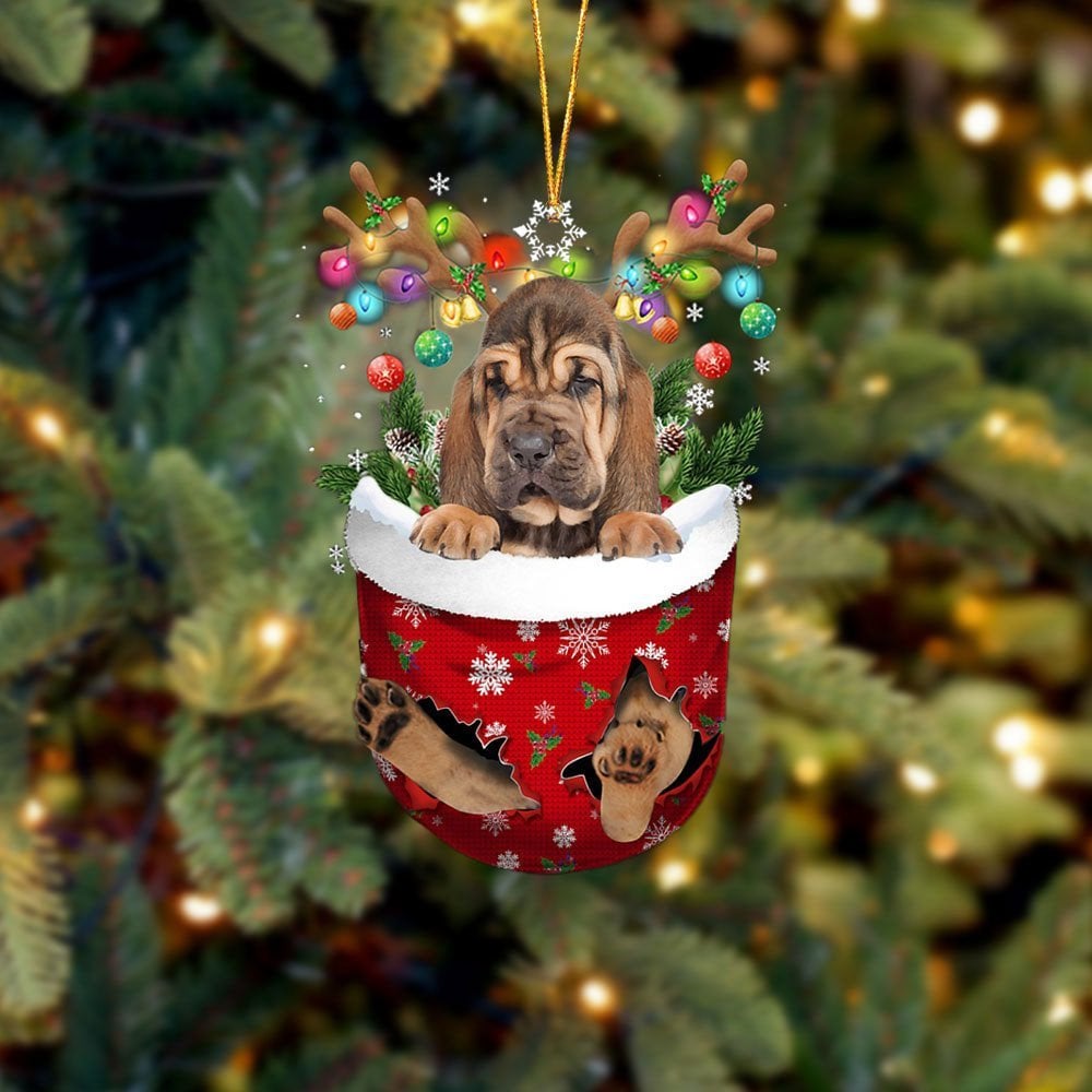 Bloodhound In Snow Pocket Ornament