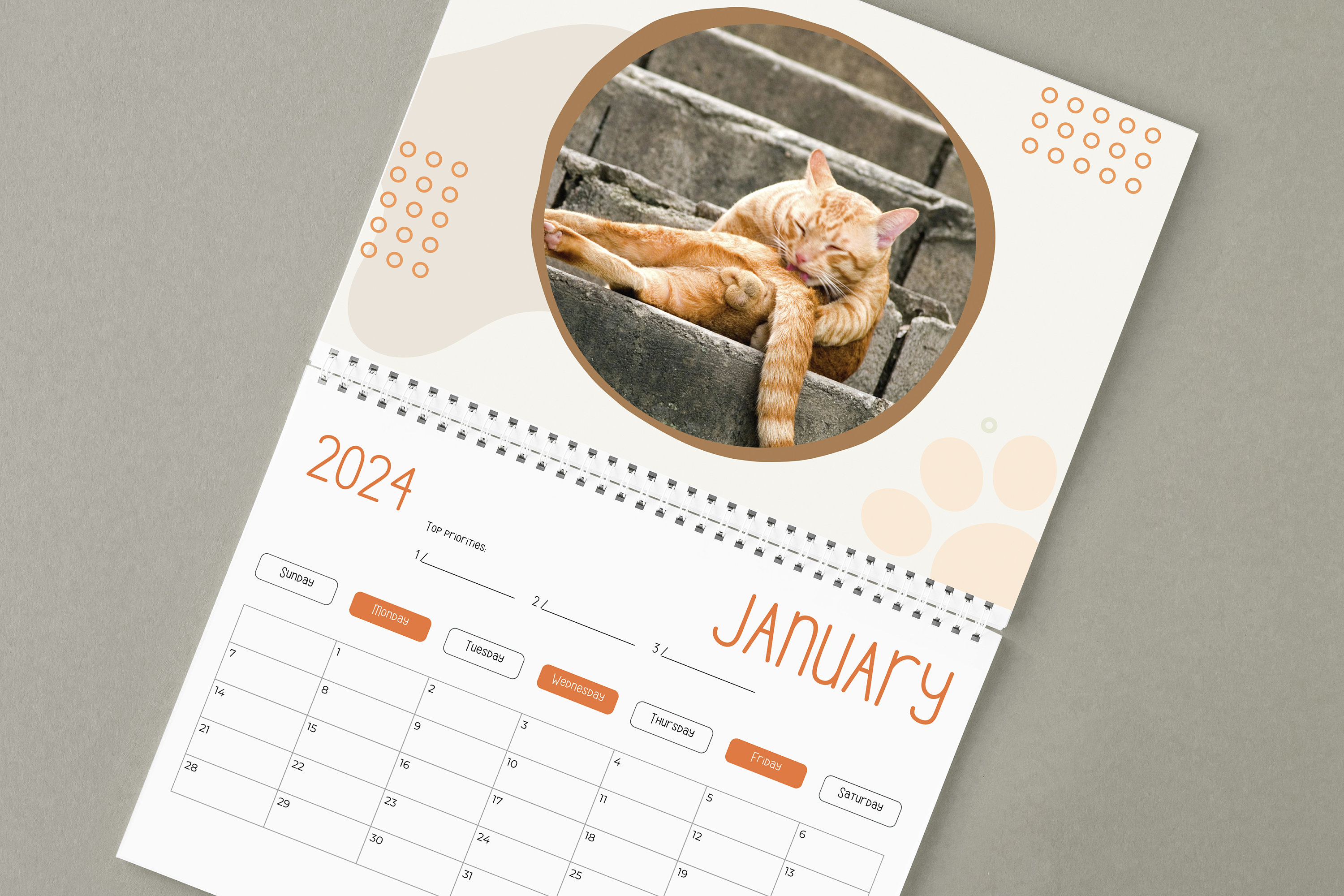 🎅🎁Special Christmas Gift - 🤣Funny Cat Calendar 2024