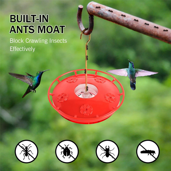 Early Spring Sales Mary's Hummingbird Feeder With Perch And Built-in Ant Moat