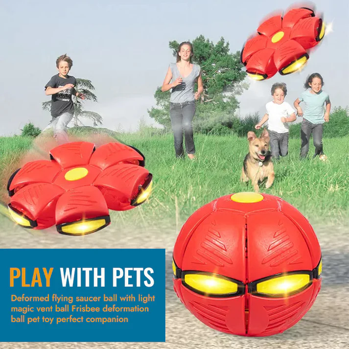 🐾Pet Toy Flying Saucer Ball🐾