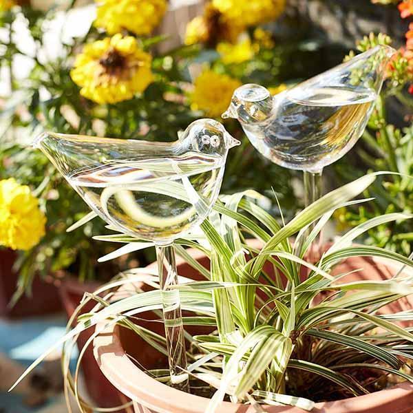 💖LAST DAY 49% OFF💖Self-Watering Plant Glass Bulbs