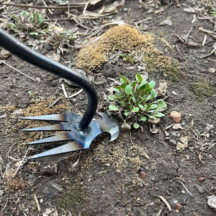New Weeding Artifact Uprooting Weeding Tool