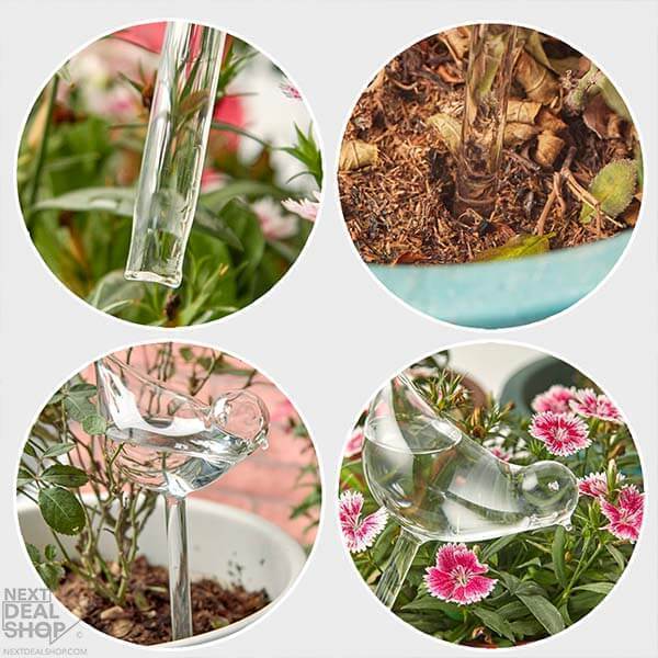 🔥45% OFF Last Day Sale -Self-Watering Plant Glass Bulbs-BUY 4 SETS FREE SHIPPING