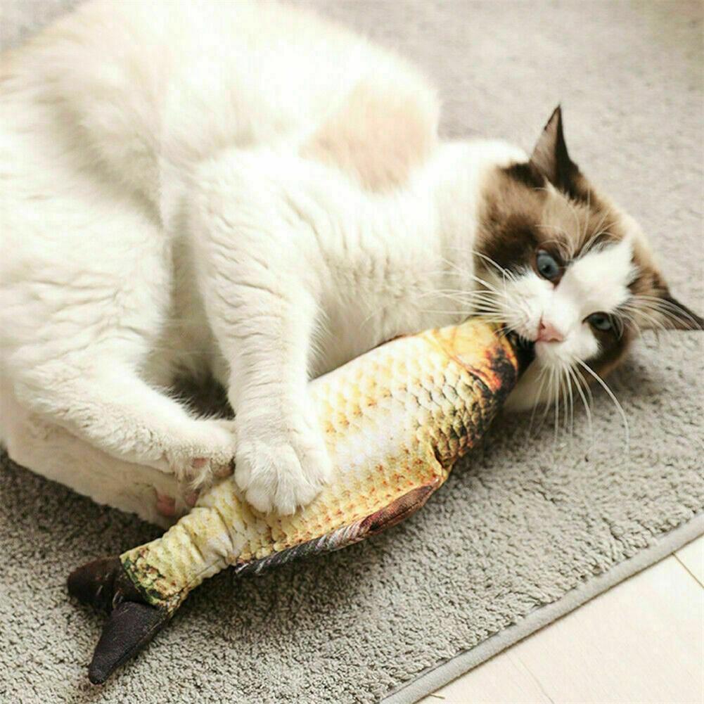 Floppy Fish Interactive Pets Toy