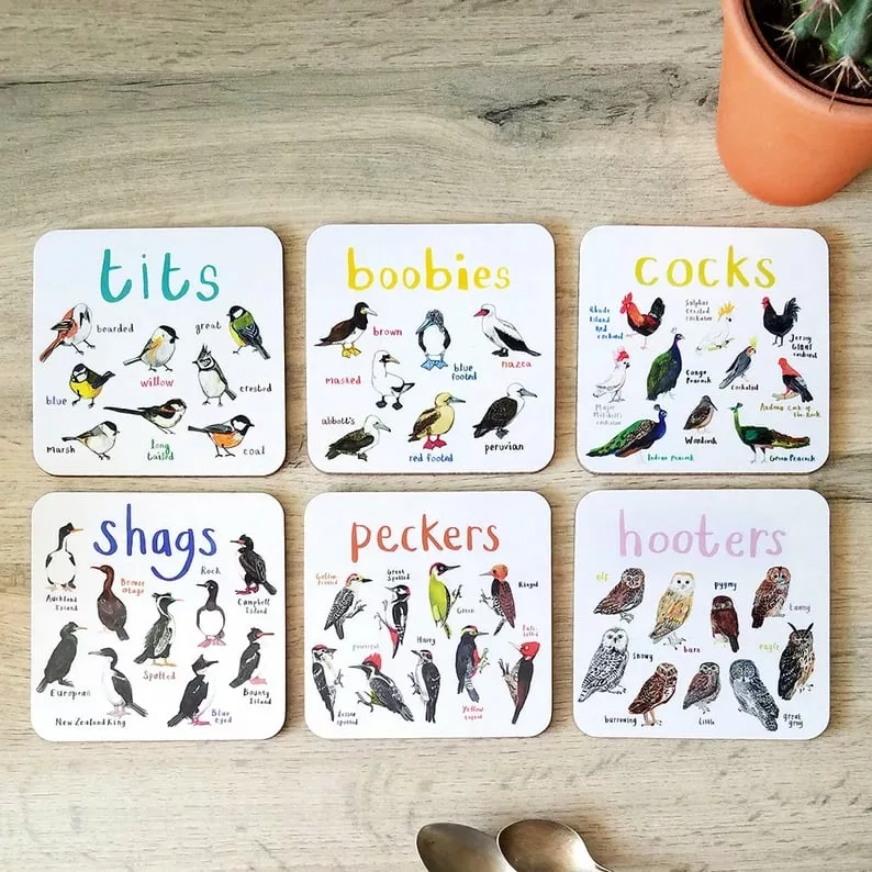 Last Day 70% OFF – Set of 6 Bird Pun Coasters