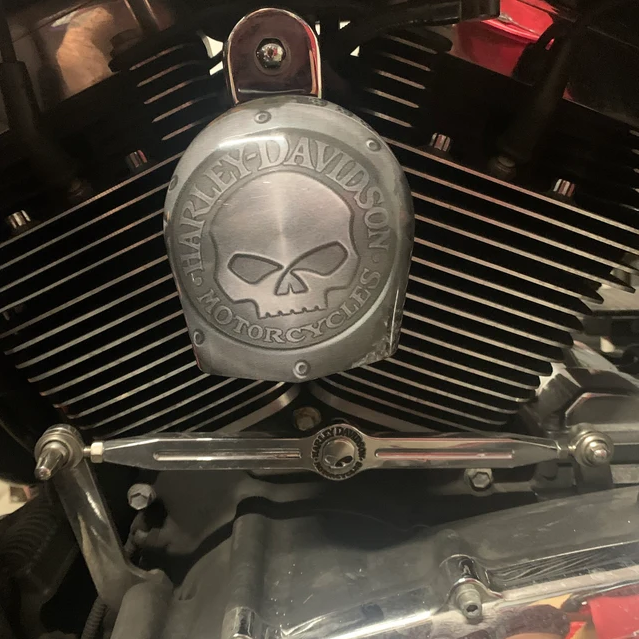 Custom side-mounted horn cover with 3D skull