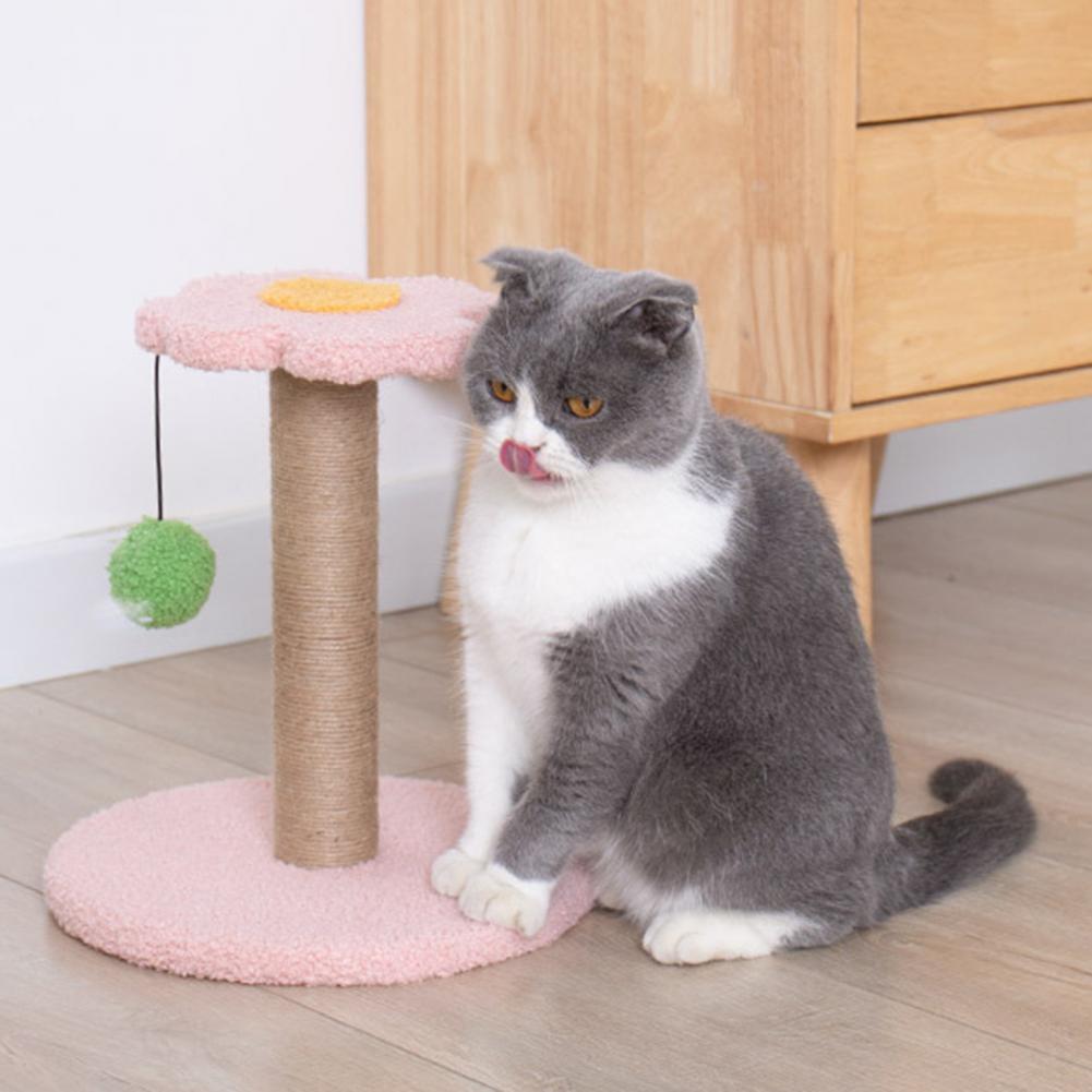 Cute Cats Scratching Post