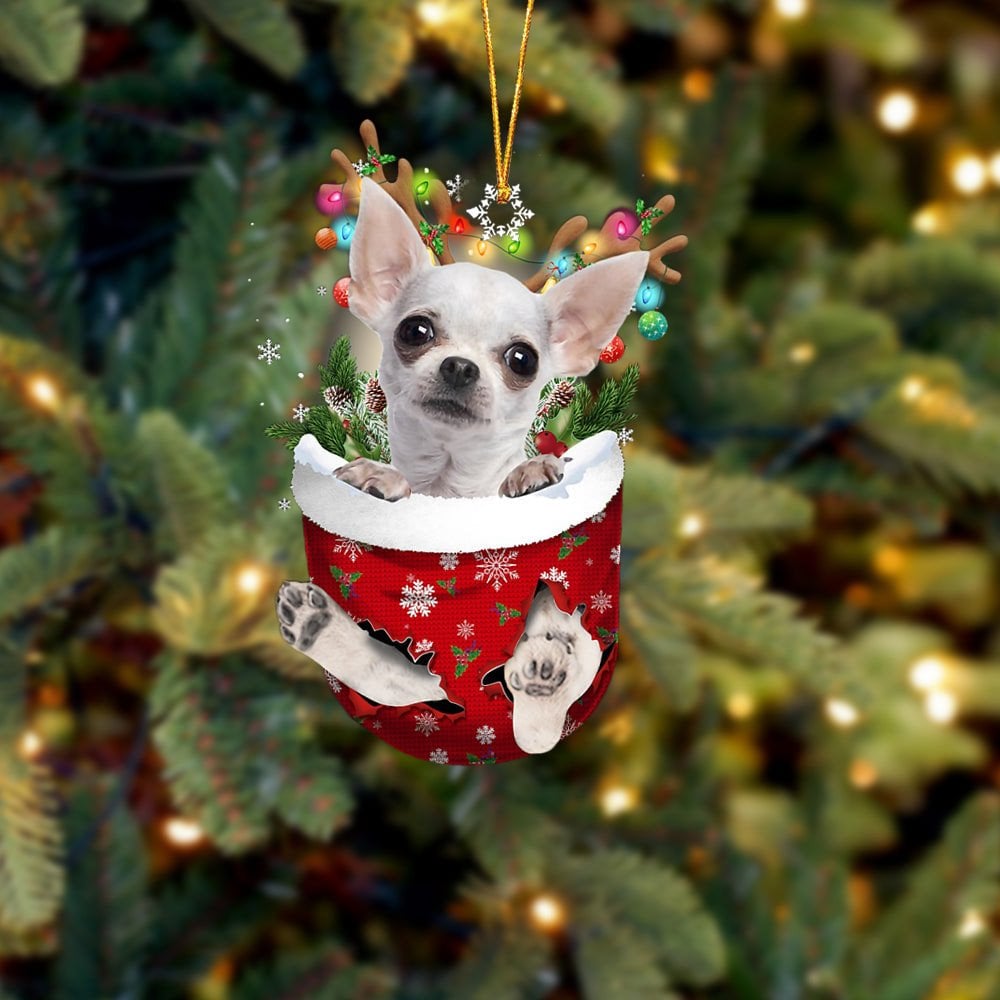 WHITE Chihuahua In Snow Pocket Ornament