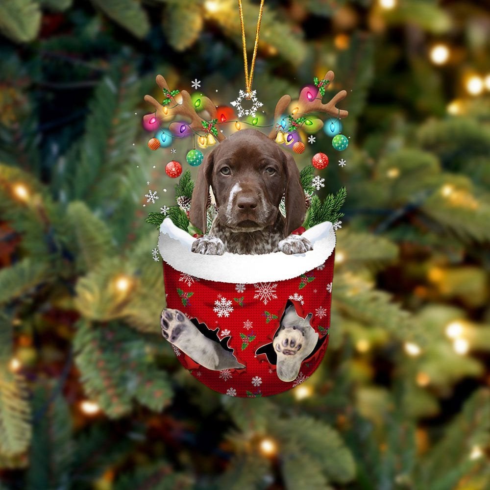 German Shorthaired Pointer In Snow Pocket Ornament