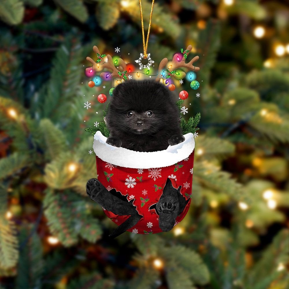 BLACK Pomeranian In Snow Pocket Ornament