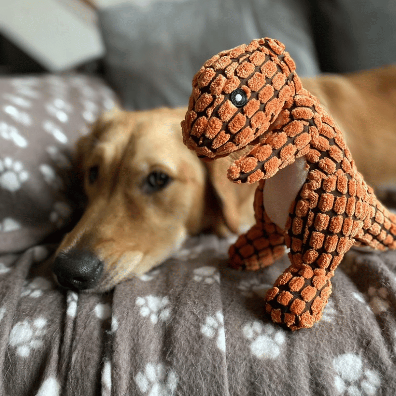 ExtremeDinoTM Dog Companion For Heavy Chewers