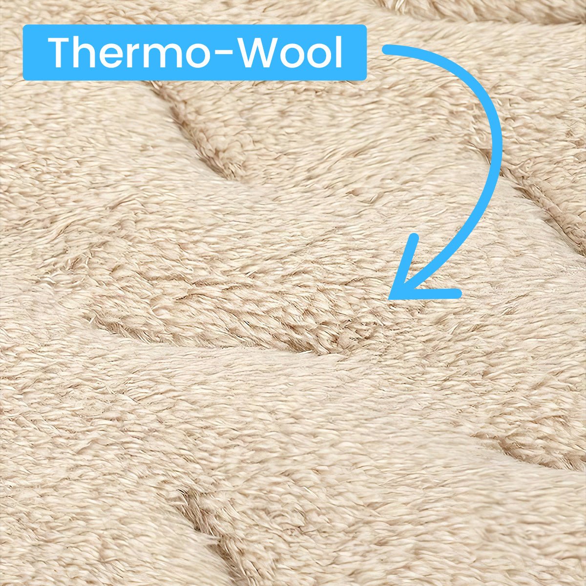 Premium Thermo Pants