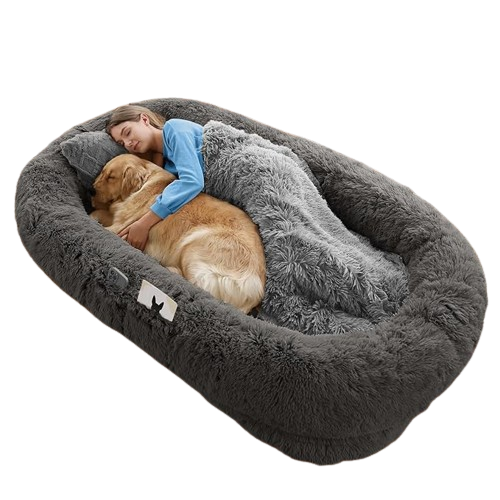 Wros Dog Bed Memory Foam Human Size Orthopedic Bed Set