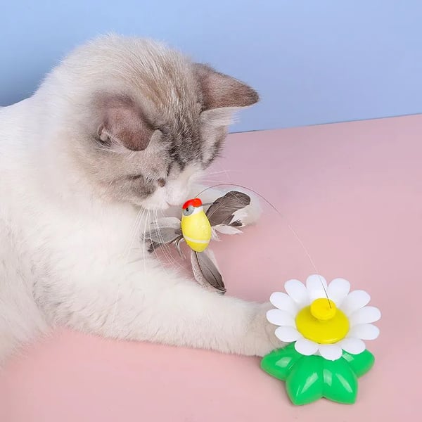 Last Day Promotions 50% OFF🔥Lifelike bird Automatic Sensing Cat Teaser Toys-Buy 2 Get 1 Free Now!