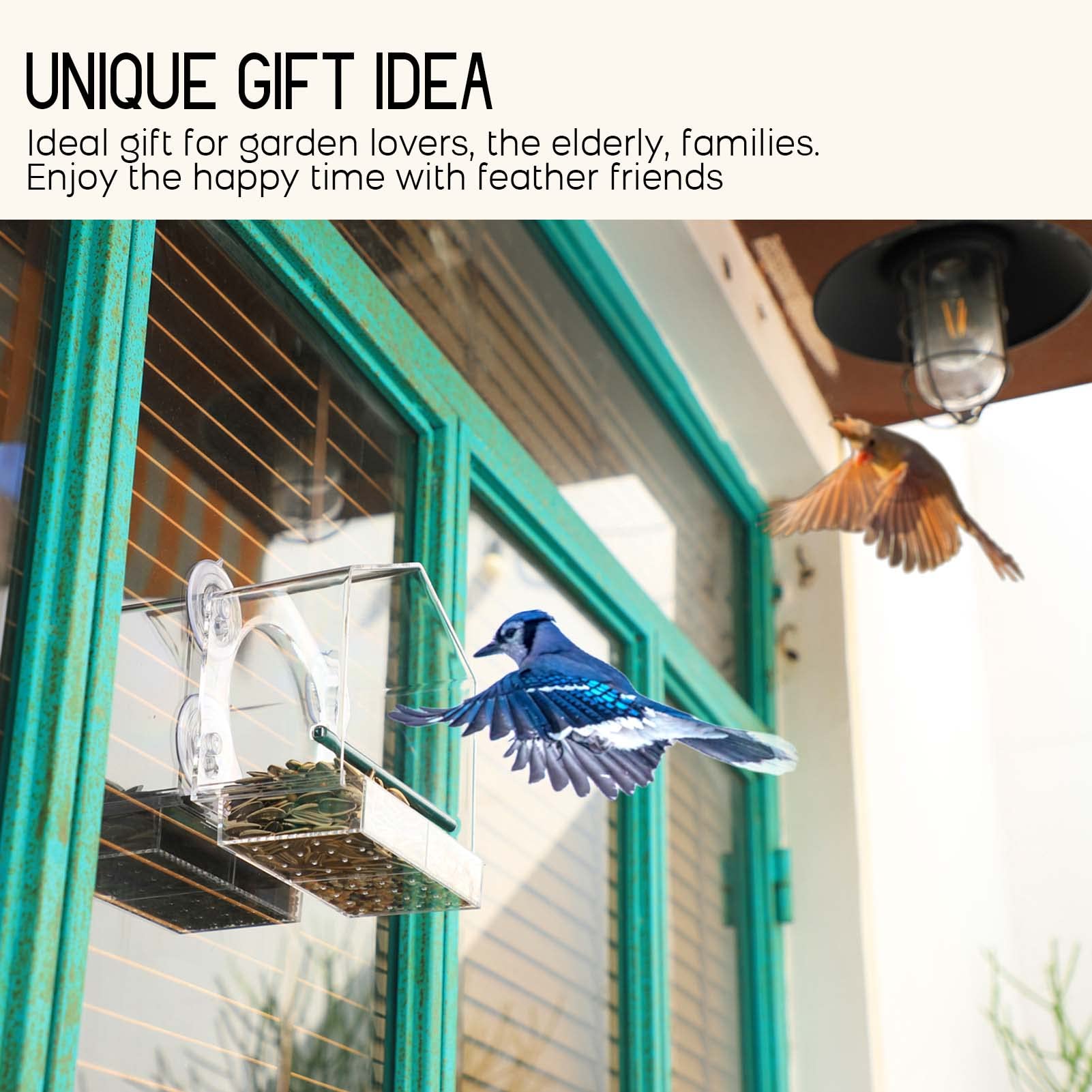 🔥Last Day Promotion-[SAVE 50% OFF]--Window Bird Feeder for Outside--BUY 2 GET 10% OFF & FREE SHIPPING NOW!