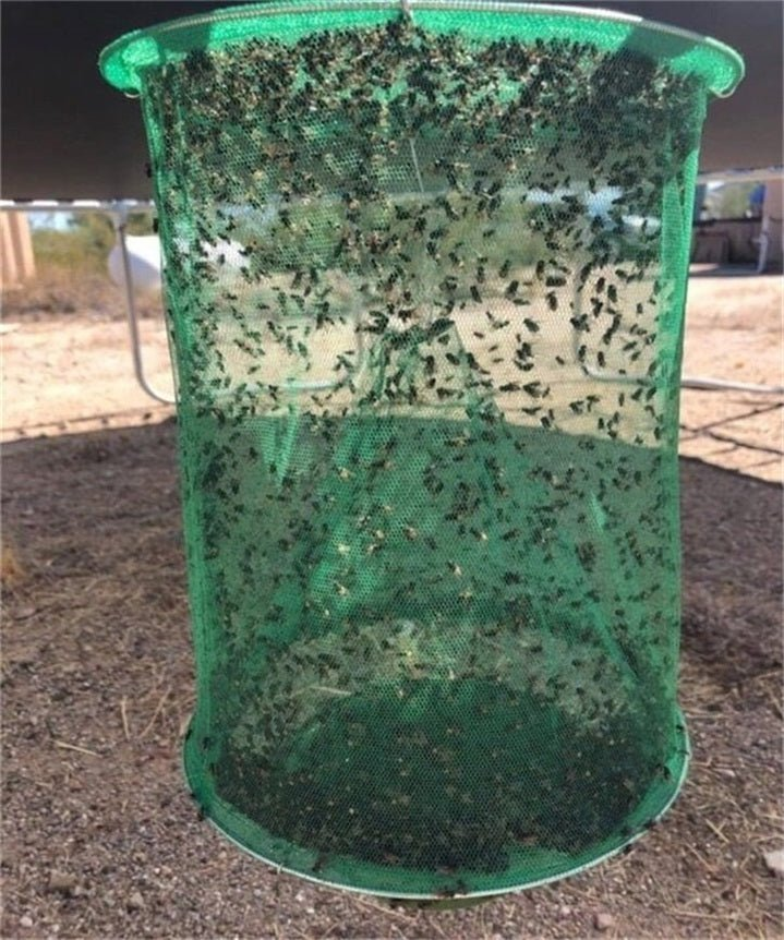 Reusable The Ranch Fly Trap - Save 50% Off