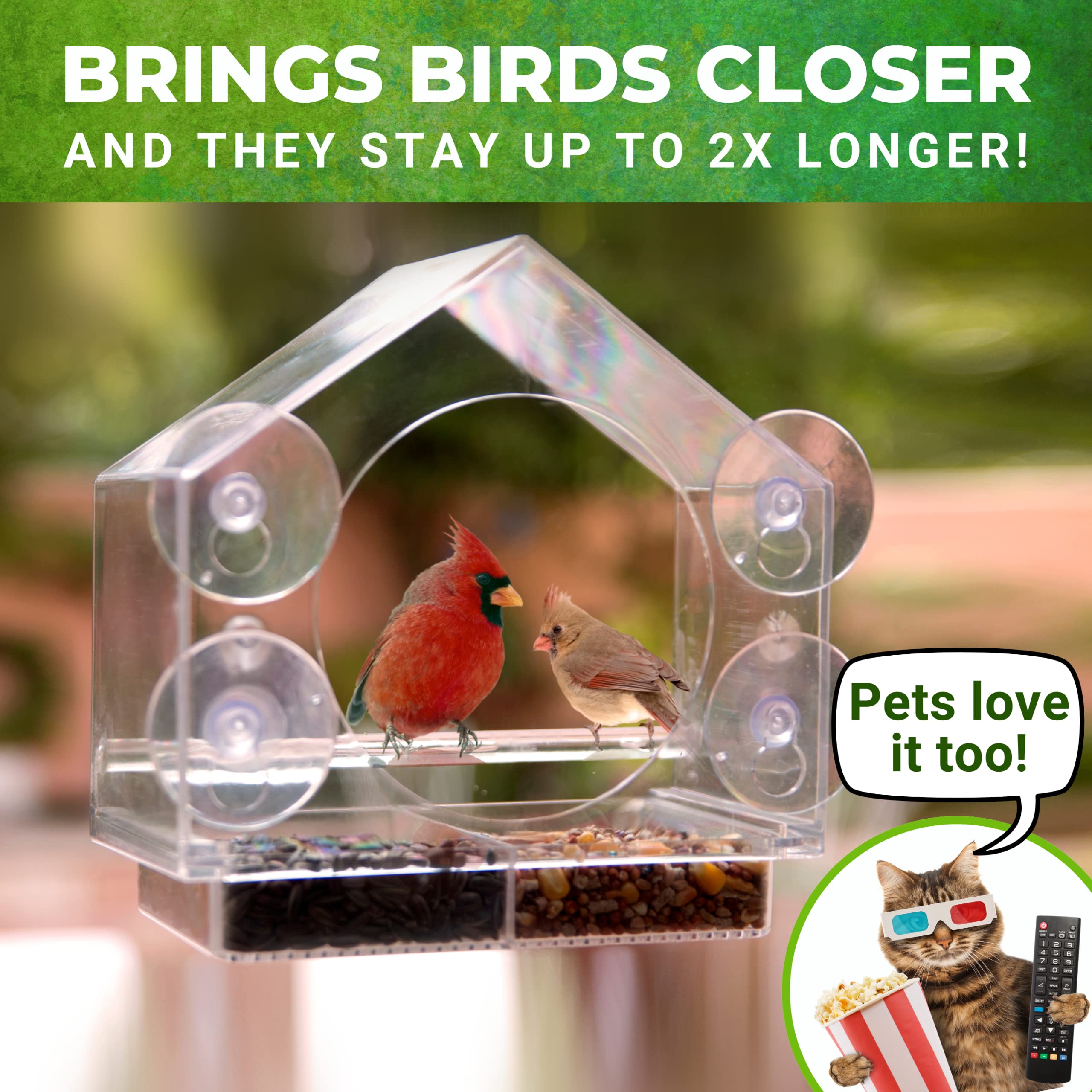 👍2024 New Arrival- 30% OFF💥Window Bird Feeders with Strong Suction Cups