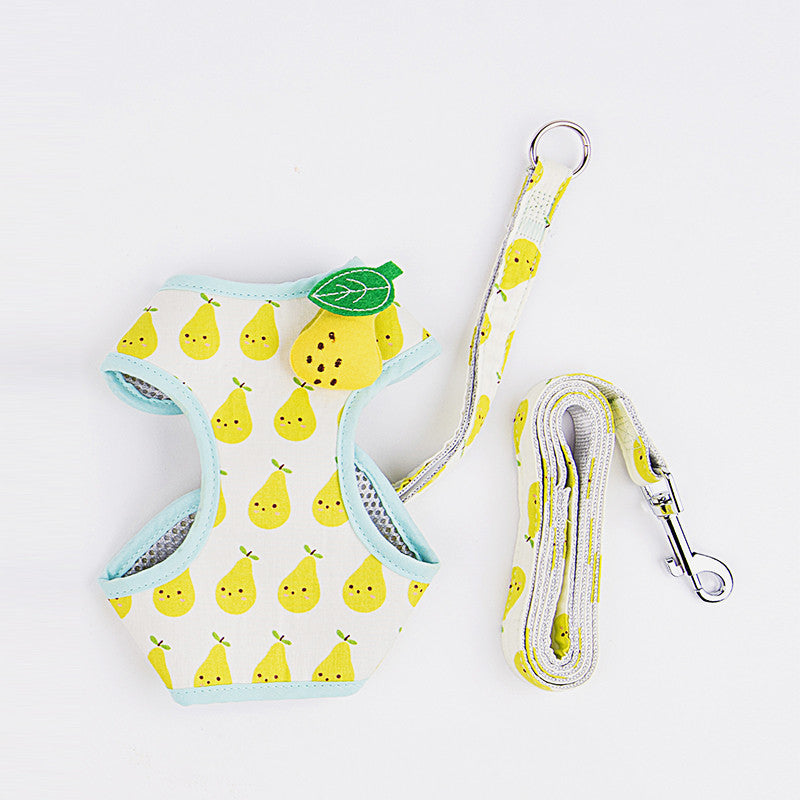 Fruit Series Cat Leashes and Harnesses