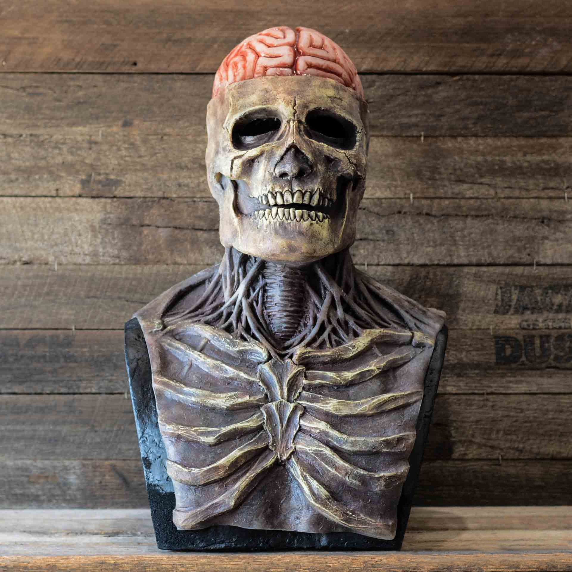 🎃49%OFF Early-Halloween Flash Sale💀The Latest Skeleton Biochemical Mask