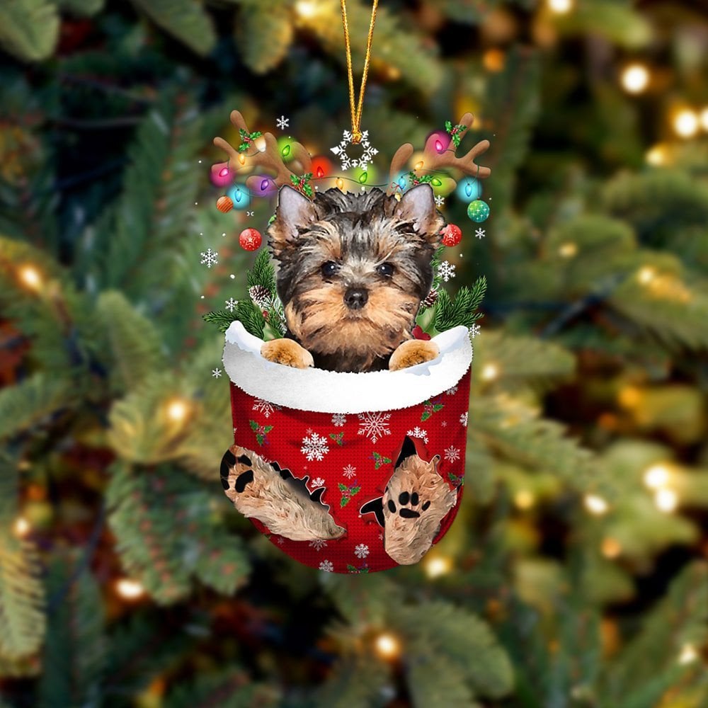 YorkShire Terrier In Snow Pocket Ornament