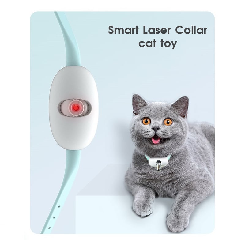 (🌲Early Christmas Sale- SAVE 49% OFF)Electric Smart Amusing Collar for Kitten-⏰BUY 2 GET 12% OFF & FREE SHIPPING