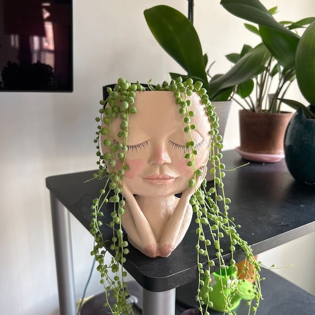 🔥Last Day Promotion-SAVE 60% OFF🔥Cute Resin Cactus Planter-BUY 2 GET 10% OFF & FREE SHIPPING