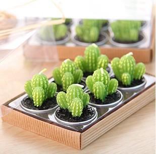 Mini Cactus Candles