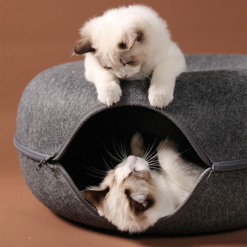 Cat Bed & Tunnel