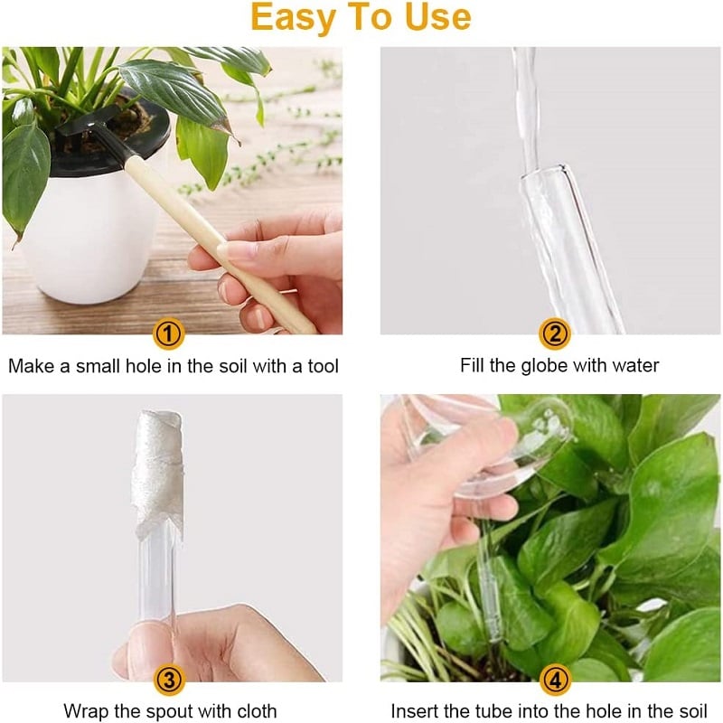 (🔥Last Day Promotion-SAVE 50% OFF) Self-Watering Plant Glass Bulbs - Buy 5 Sets Free Shipping!