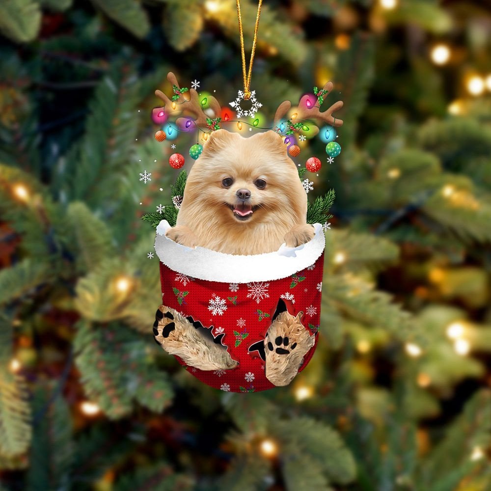 CREAM Pomeranian In Snow Pocket Ornament