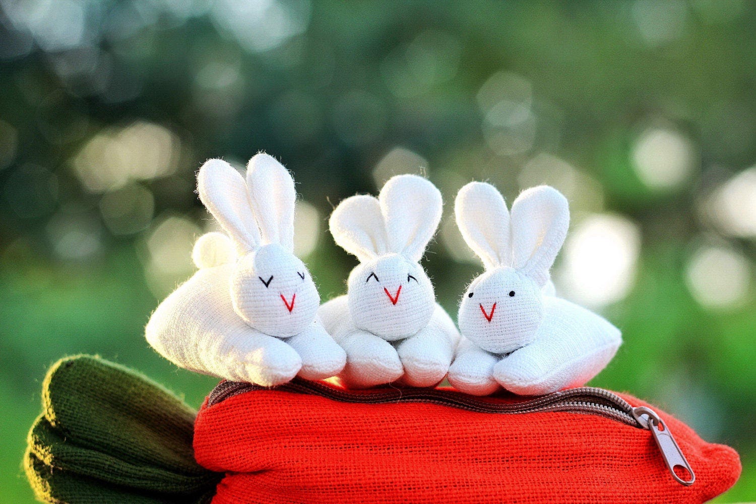 💖LAST DAY 49% OFF💖Hide-and-Seek Bunnies in Carrot Pouch--Children's gift