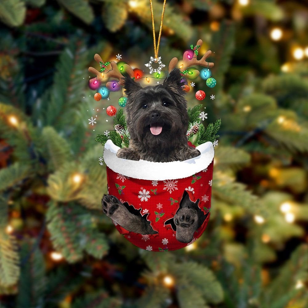 Cairn Terrier 2 In Snow Pocket Ornament