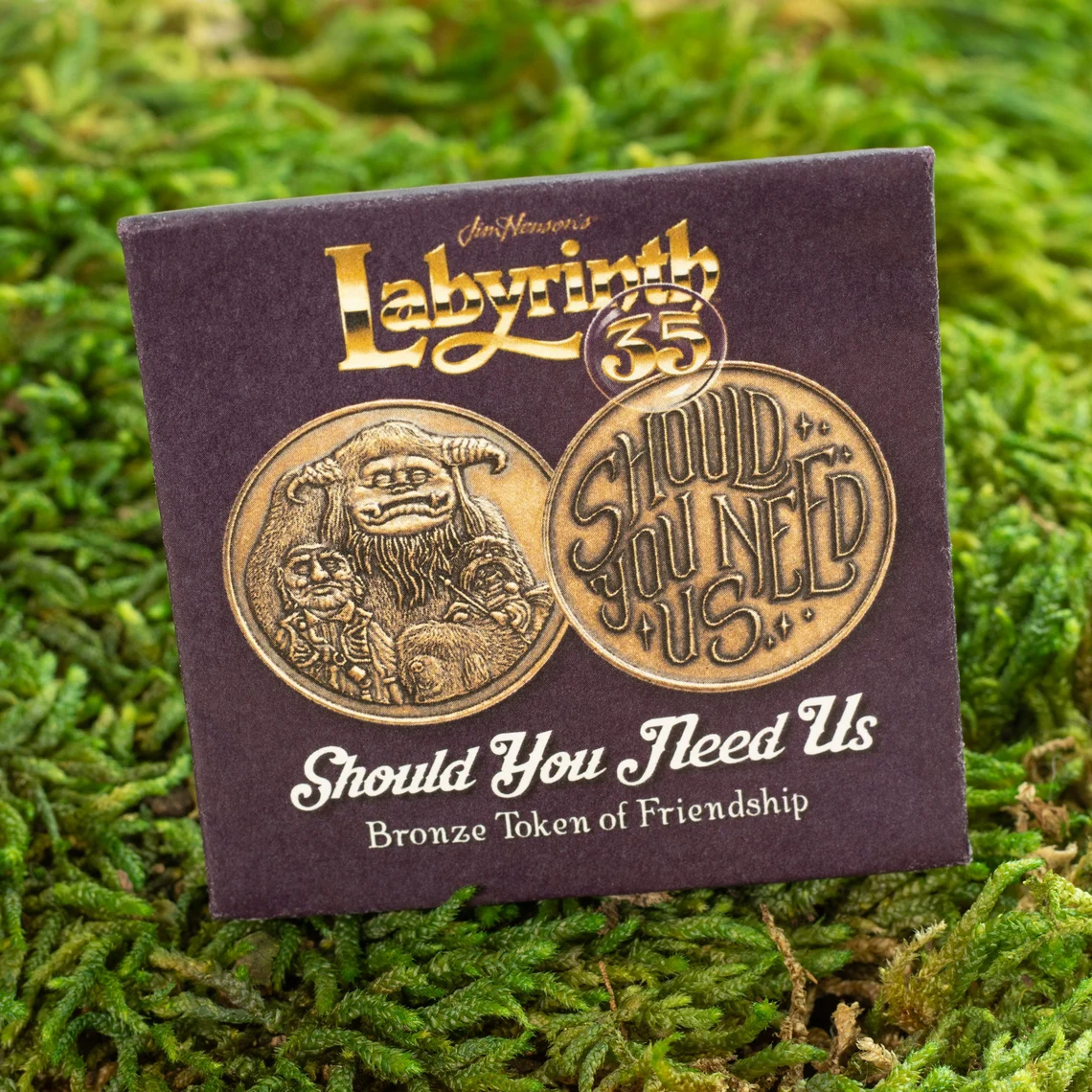 Labyrinth Should You Need Us Bronze Coin