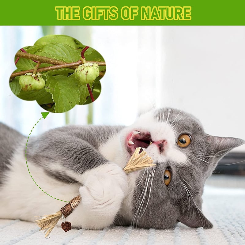 🎅EARLY CHRISTMAS SALE - 48% OFF🎄-😺Natural Silvervine Stick Cat Chew Toy-BUY 5 GET 5 FREE & FREE SHIPPING