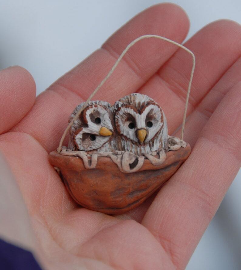 Baby barn owls walnut nest